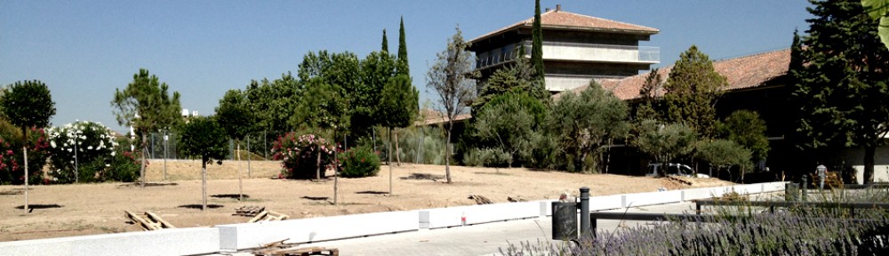 El Colegio Estudio